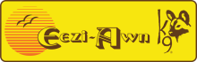 Eezi-Awn logo